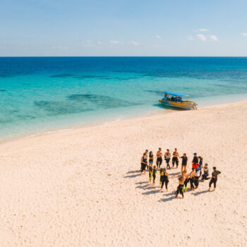 Mackay Cay Snorkelling tour with Ocean Safari